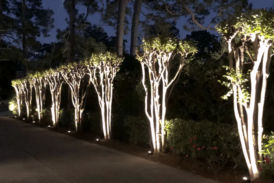 Long driveway lined with uplit crepe myrtles leading to a Memorial Villages home