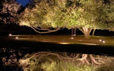 Understanding Color Temperature For Outdoor Lighting