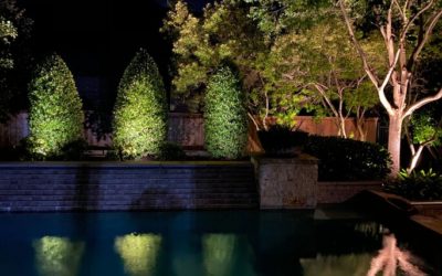 Shadowing & Silhouetting For Dramatic Ambiance