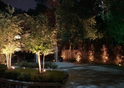 Outdoor Lighting Lines trees & shrubs on a Driveway