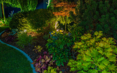 3 Tips For Lighting Your Garden