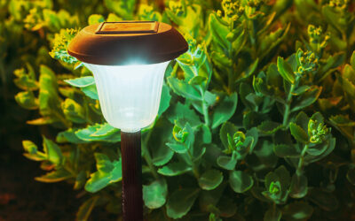 Is Solar-Powered Outdoor Lighting a Good Option?