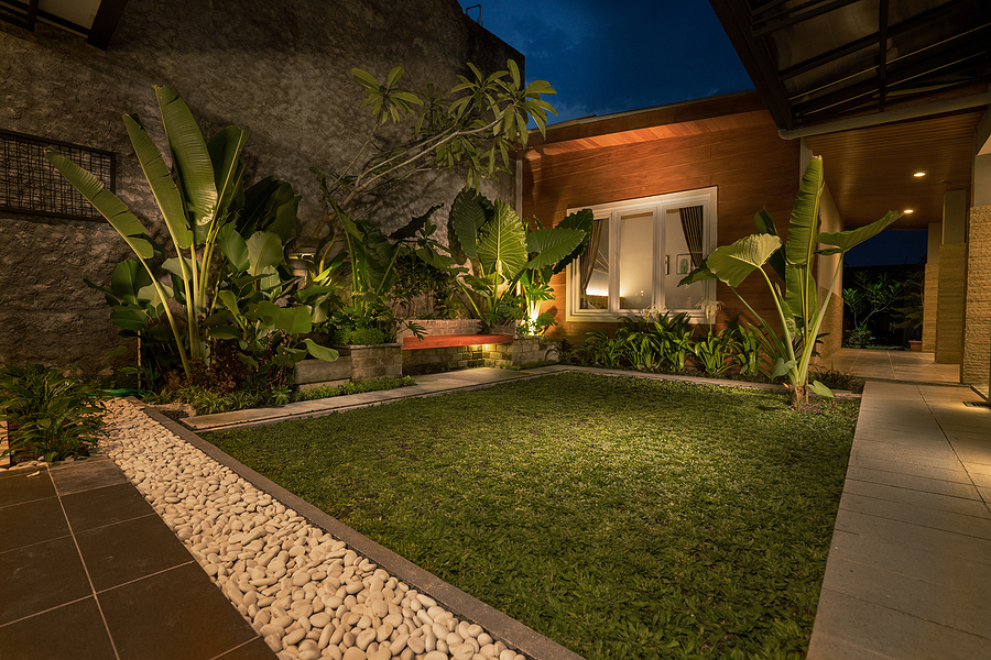Small backyard grass space with pathway & plant illuminated at night
