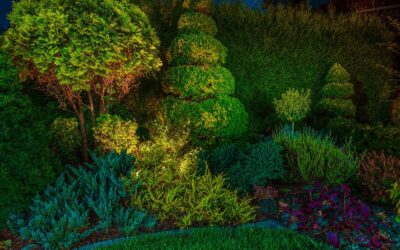 Downlighting vs Uplighting: When Should Each Be Used?