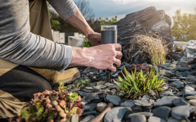 Avoid These Landscape Lighting Mistakes