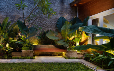 Resort-Style Living with Backyard Lighting