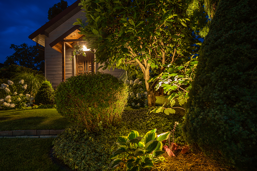 Artsy Shot of illuminated small garden and front door entry of home in evening