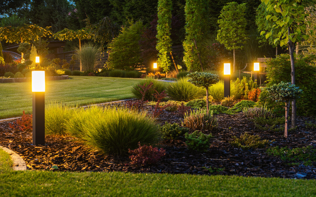 Backyard landscaping with lighting option to feel bigger