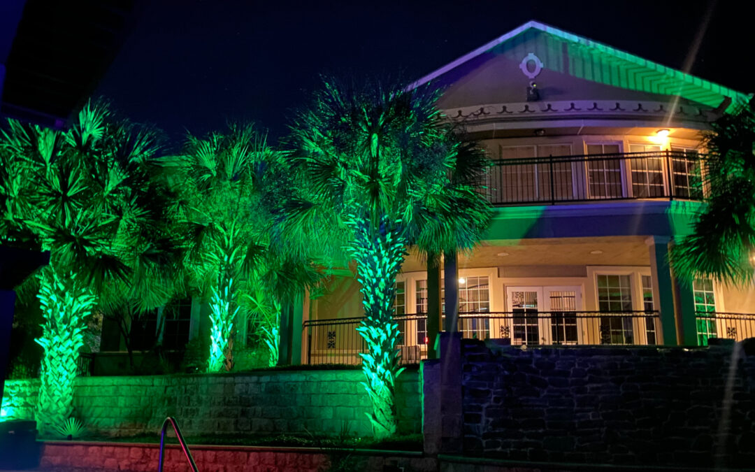 Home with palm tress and uplighting
