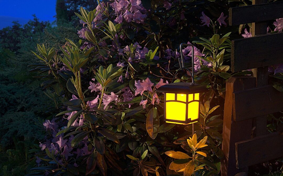 Lantern hanging in garden against bush with purple flowers. Garden Lights.