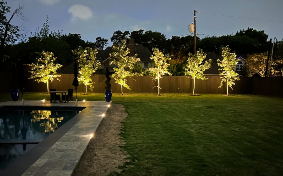 Uplighting on trees in backyard around a pool with cement walkway and grass. Uplighting technique