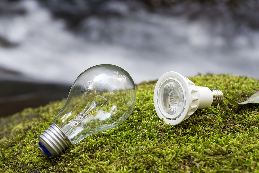 Incandescent light bulb and LED light bulb on a green moss in front of brook. LED lighting
