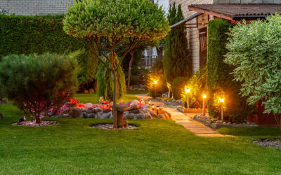 Why Plant Lighting Matters