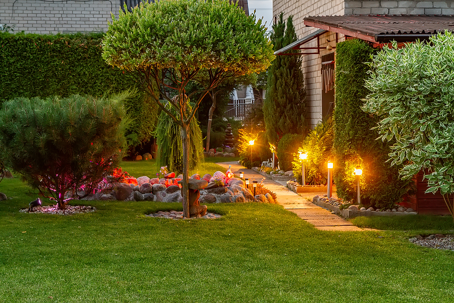 A beautiful garden is planted with plants and illuminated by lights. plant