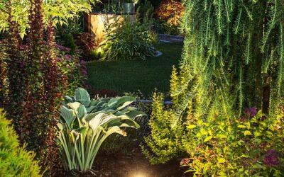 Lighting Ideas for Your Garden