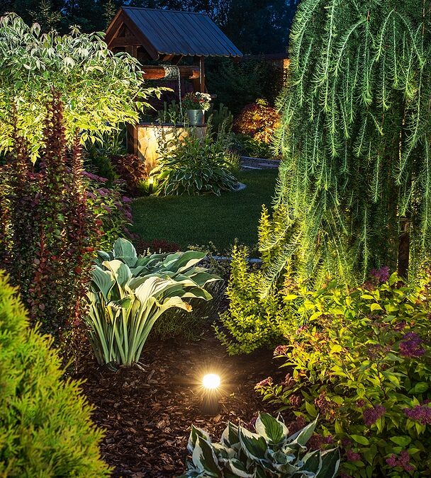Backyard Garden Illumination. Illuminated Garden at Night with Various of Plants. Vertical Closeup Photo.
