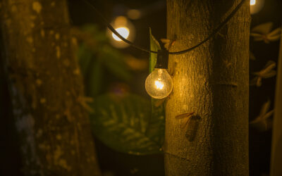 Outdoor Lights That Don’t Attract Bugs