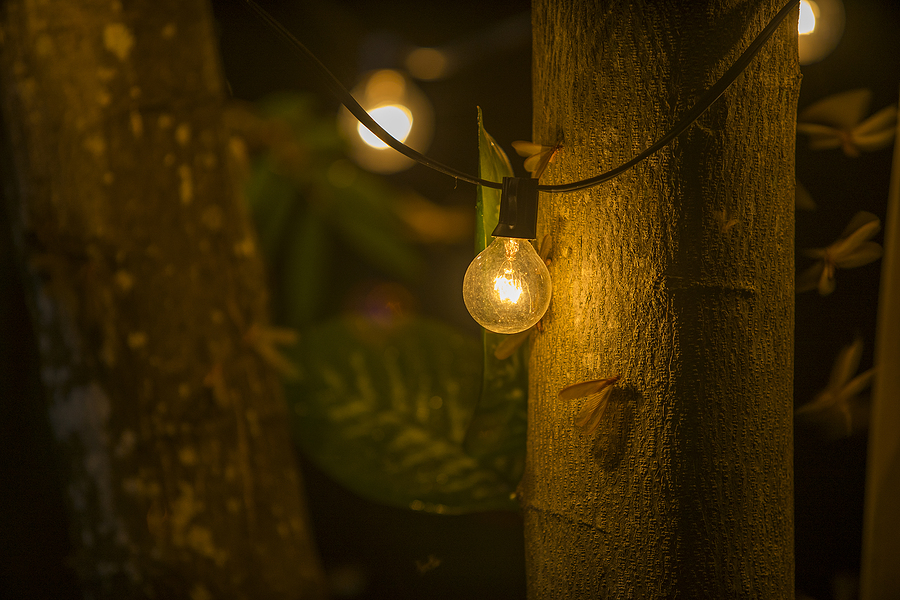 Outdoor Lights That Don’t Attract Bugs