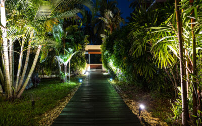 Where Should Tree Lights be Placed?