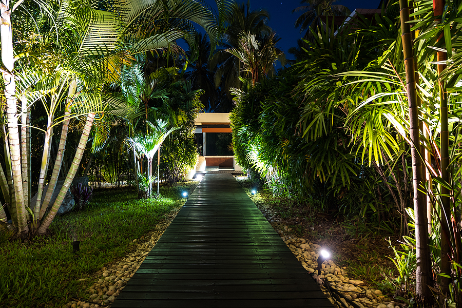 Night lighting in tropical garden Decorative LED lighting in garden to see the garden pathway at night with palm trees. tree lights