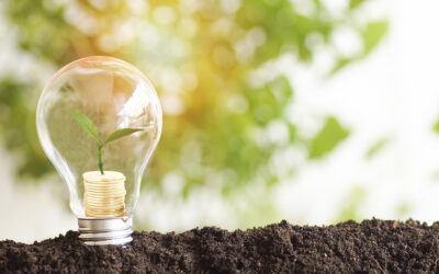 Embracing the Future: Solar Landscape Lighting and Sustainable Energy