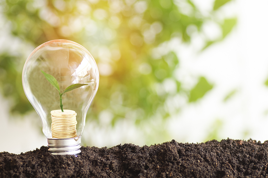 tree planting and growth up on money coins stacked on light bulb with soil concept in save World environment day reforesting eco bio arbor CSR ESG ecosystems reforestation concept. solar