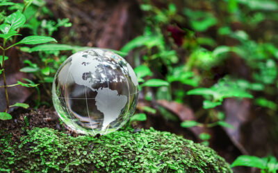 Exploring the Role of Sustainability in Landscape Lighting