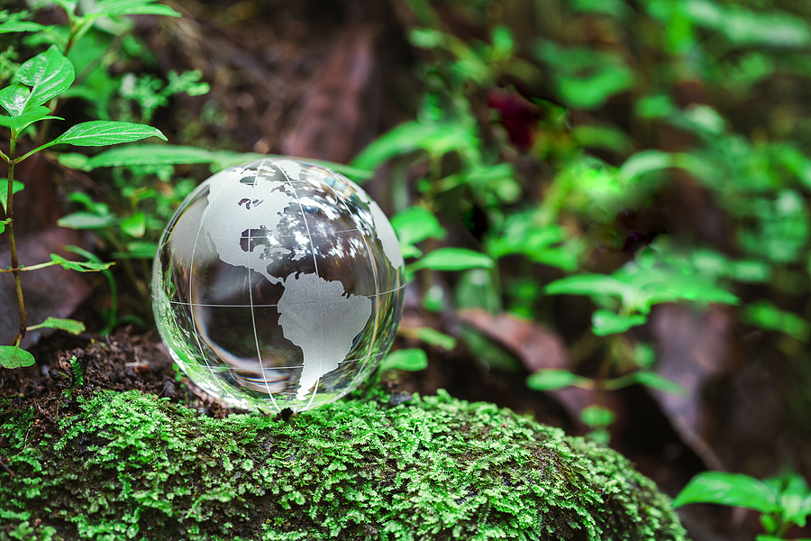 Globe planet glass In green forest with bokeh nature lights. world environment day. concept for environment conservation, protect ecology earth and environmental eco-friendly life with copy space. Sustainability