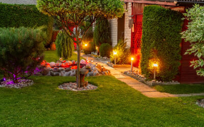 Turn Your Backyard Into a Magic Garden
