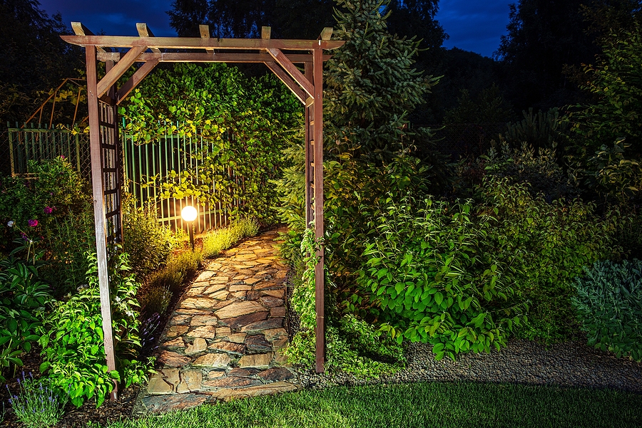 Shot of beautiful garden at night highlighting the need for a garden statement.
