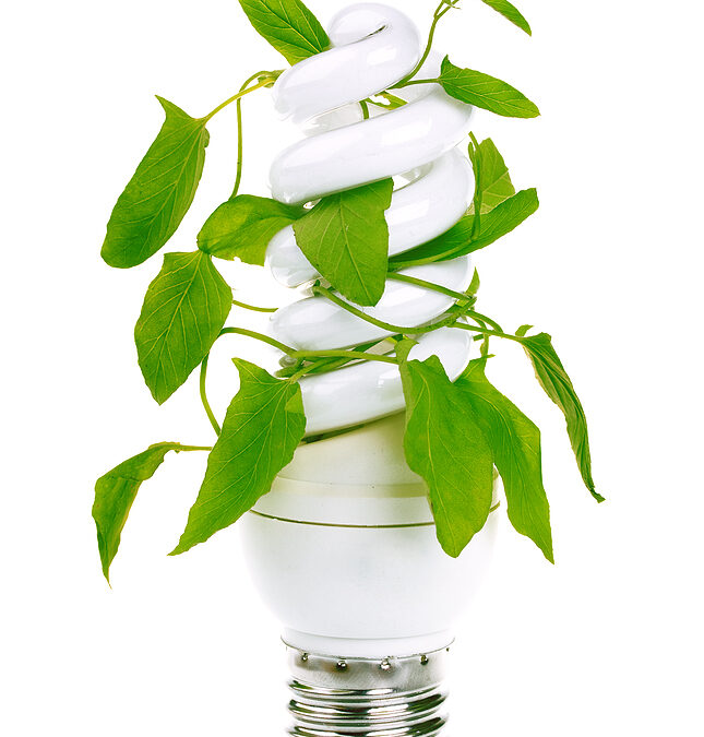 eco-friendly lighting