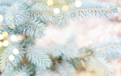 Beyond the Holidays: Lights You’ll Want Up All Winter Long