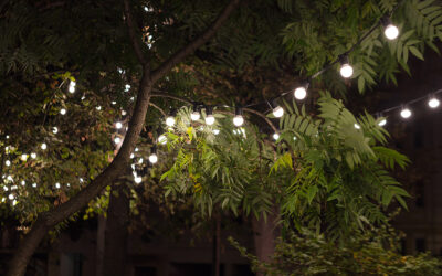 Best Tree Lighting Positions