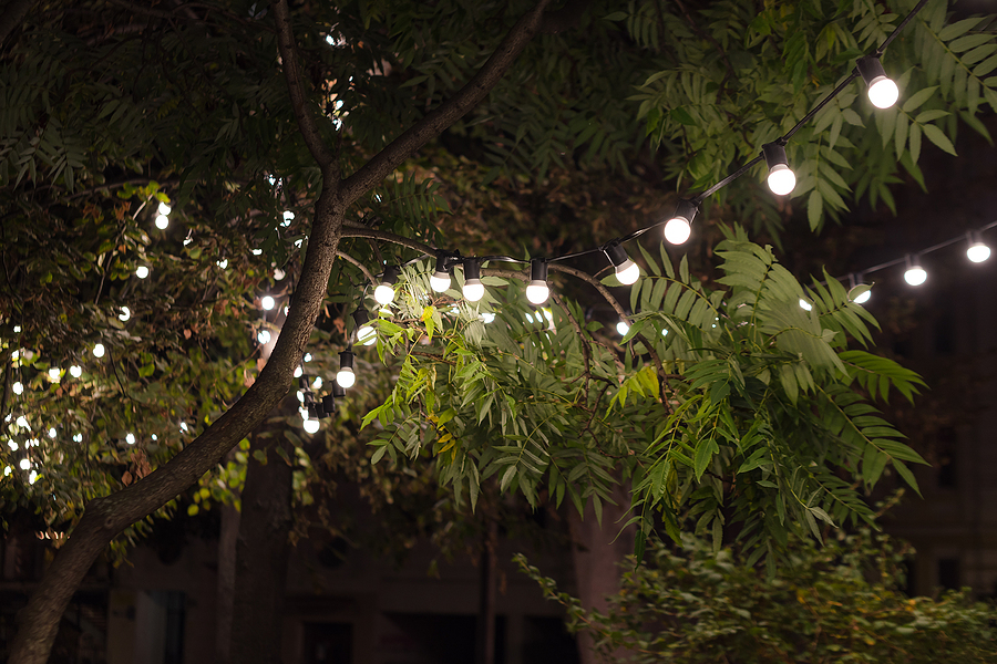Outdoor garden setup showing Tree Lighting Positions with hanging lanterns and ambient lights.