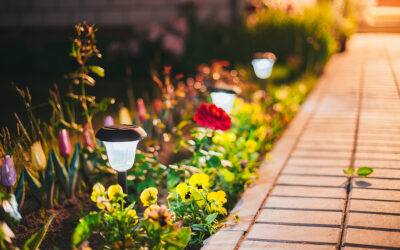 New Lighting Trends for 2025