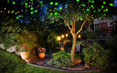 Lighting Ideas for Your Next Outdoor Party