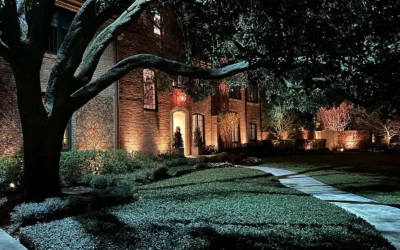 Moonlighting in Houston for a Softer, More Natural Outdoor Lighting Design